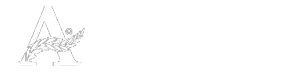 allamipartner logo